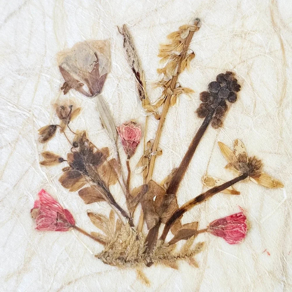 Vintage Framed Pressed Flower on Handmade Paper Picture Signed 7